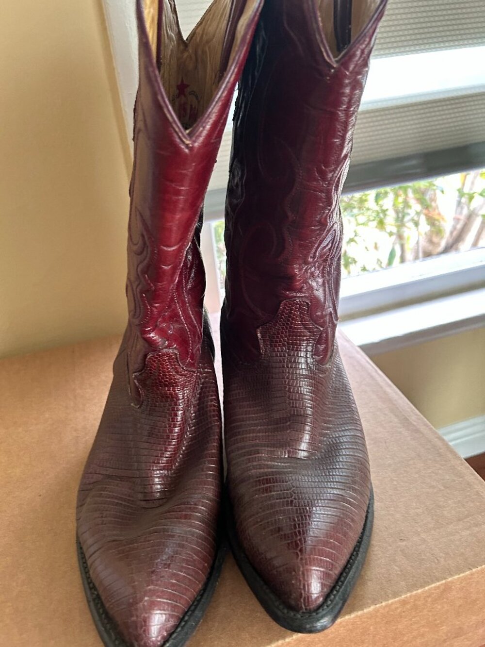 🔥 VINO VIBES: Los Altos Black Cherry Teju Lizard Exotics 🦎 11 EE